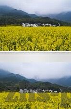 8b足球比分-8b足球比分，足球世界的精准导航仪